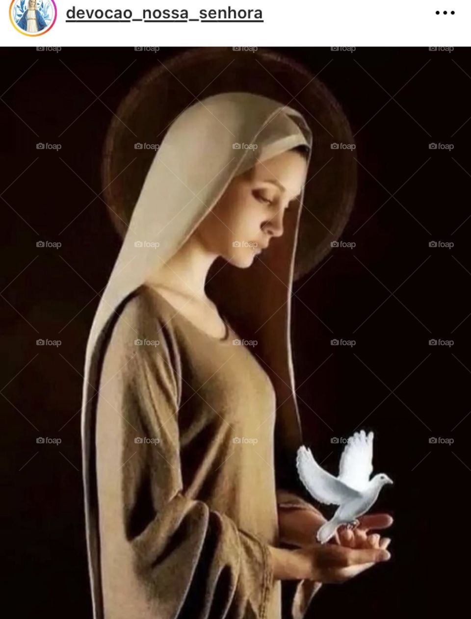 🙏 🇪🇸 Oh Maria, ruega por nosotros que recurrimos a ti.  Amén.  🇧🇷 Ó Maria, Nossa Senhora, rogai por nós que recorremos a vós. Amém. / 🇺🇸 O Mary, pray for us that we turn to you.  Amen. / 🇮🇹 O Madonna, prega per noi che ci rivolgiamo a te. Amen. 