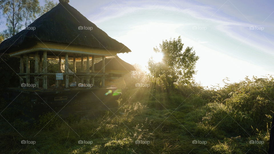 The sun in the spring is very beautiful