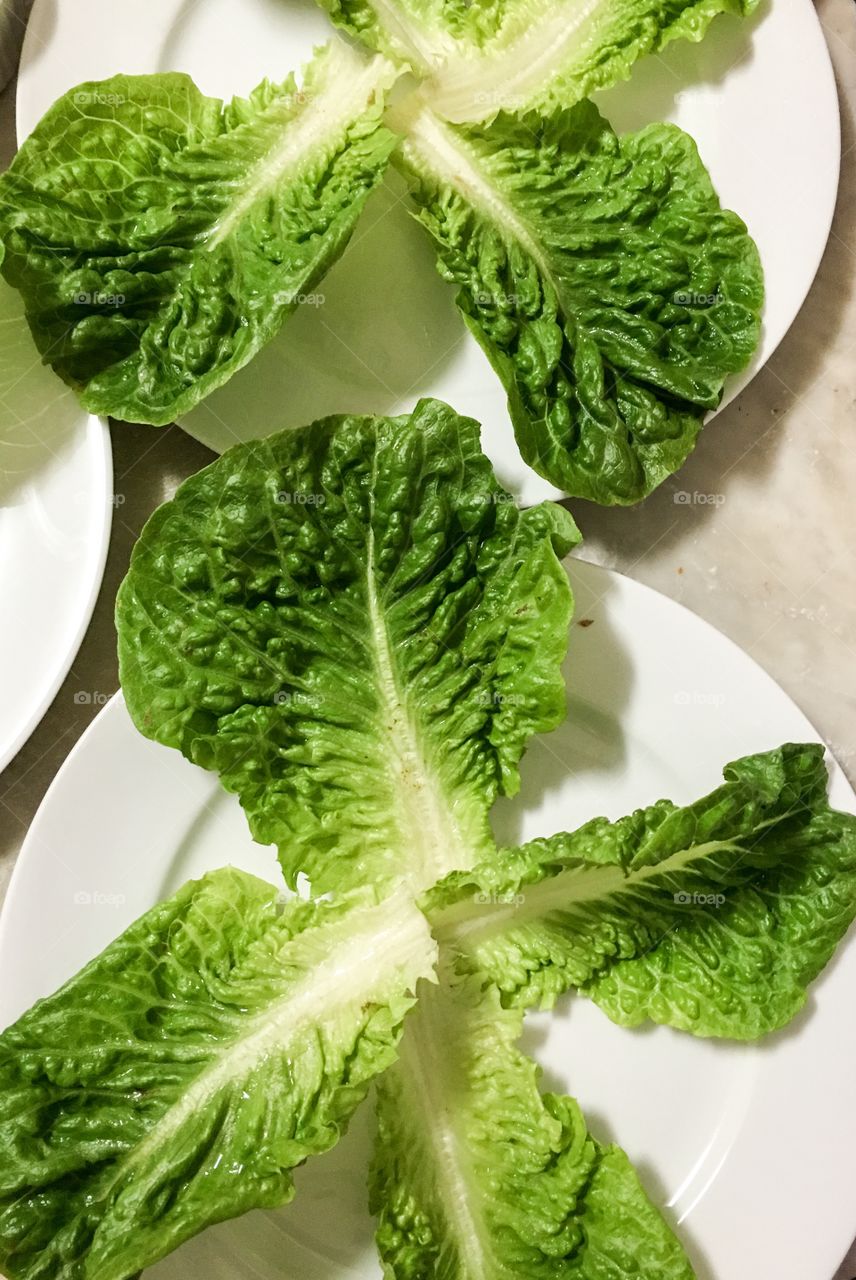 Lettuce leaf leaves for pork lettuce wraps Thai cuisine