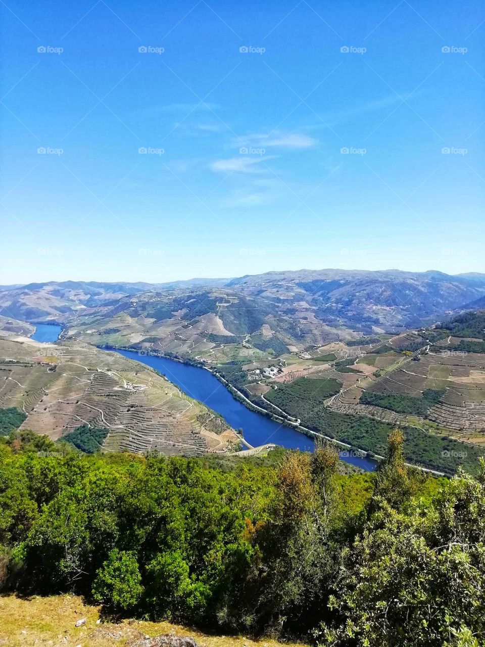 Douro Valley