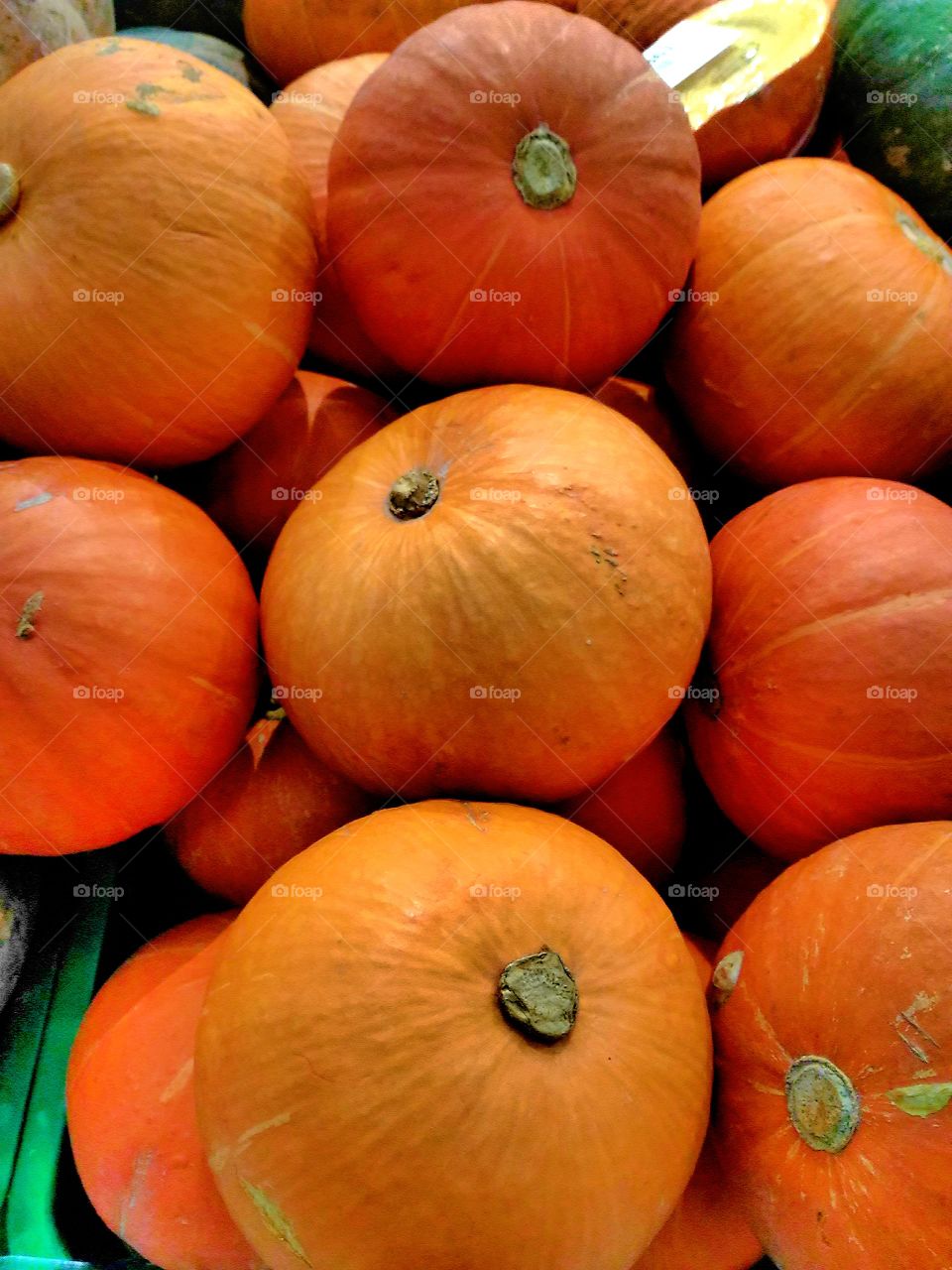 Orange Pumpkins