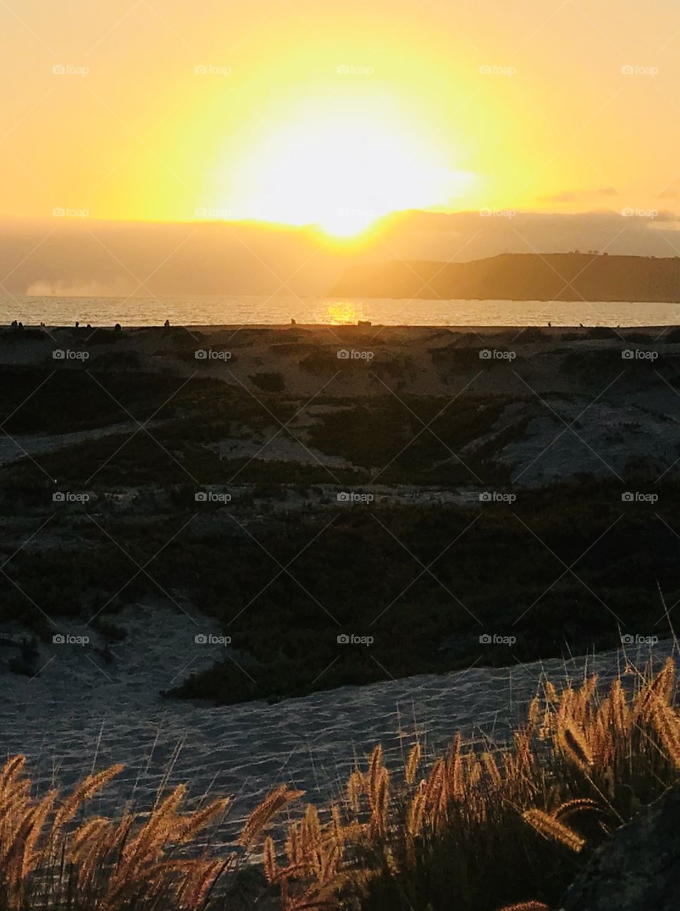 Sunset Coronado
