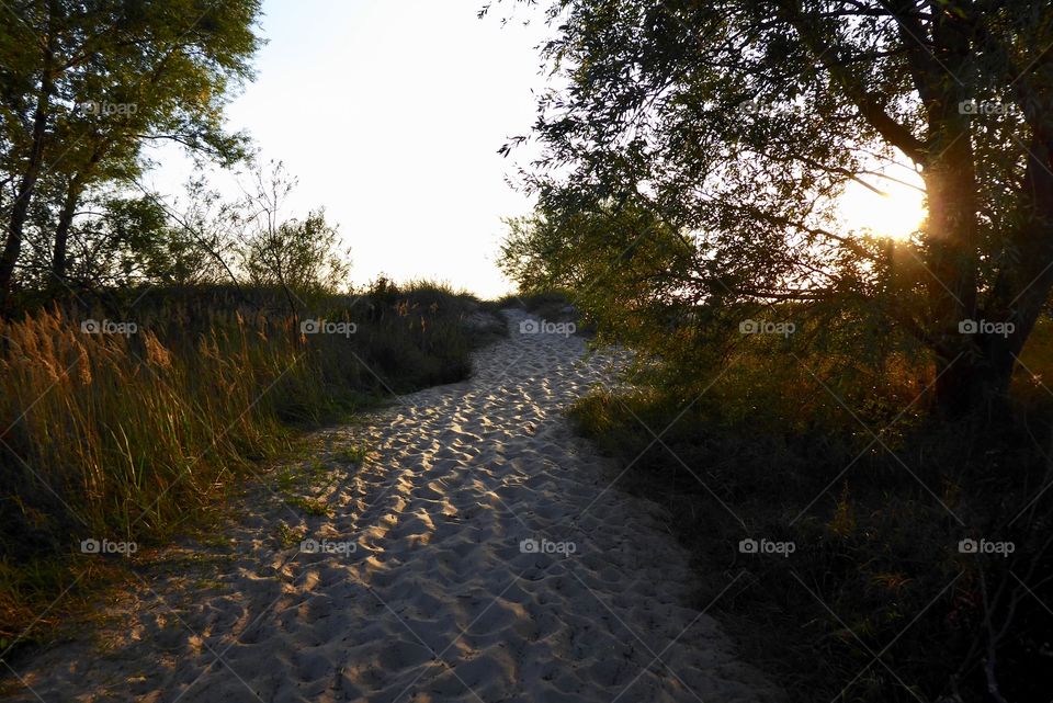 Way to the Beach - Elbe Schleswig-Holstein 