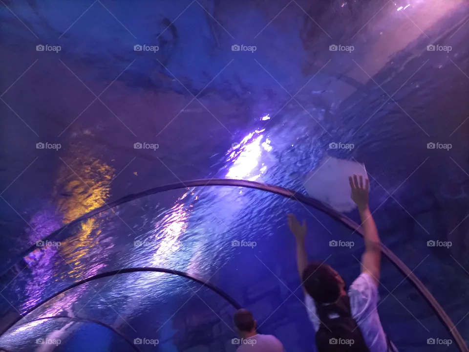 big aquarium