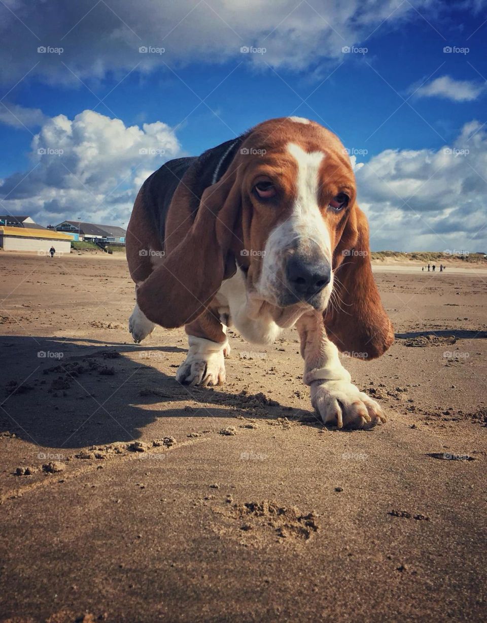 “Wait for me guys “ 