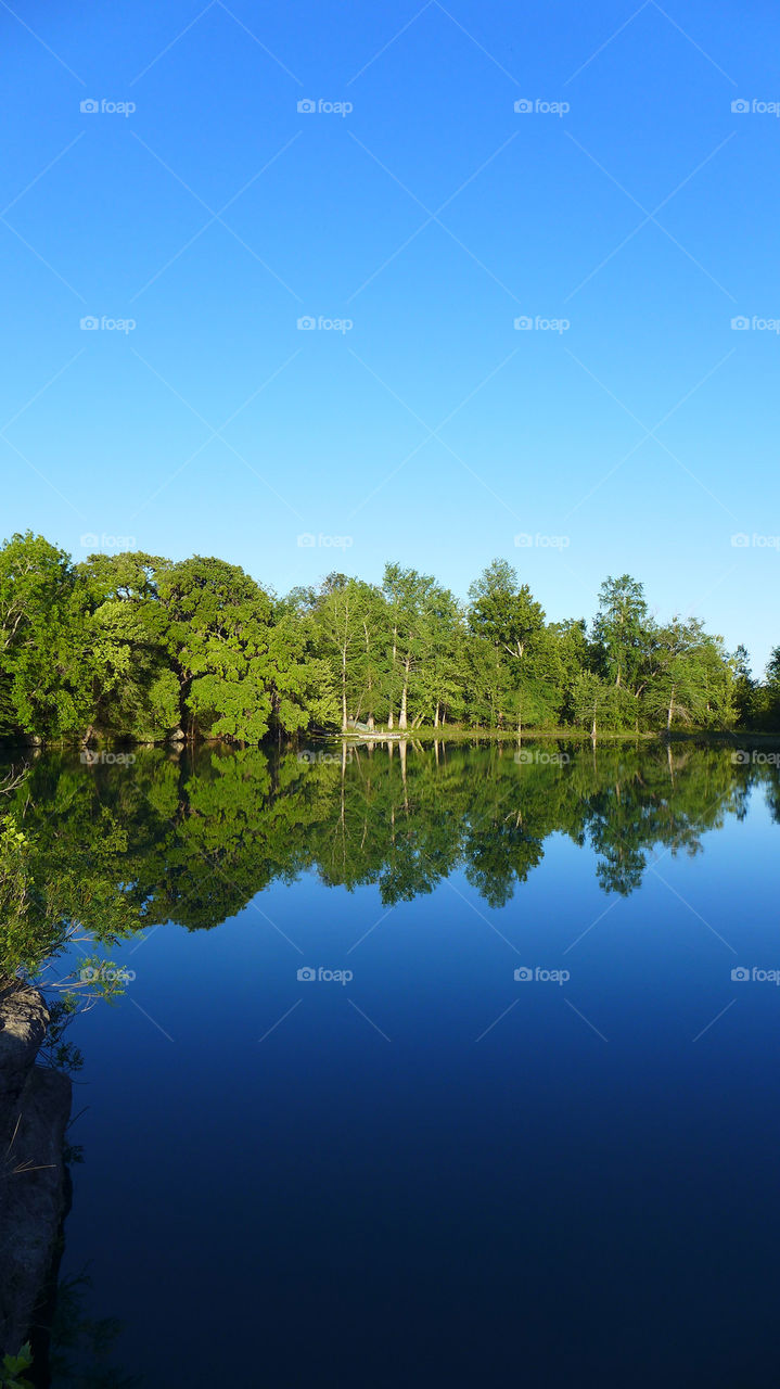 Forest reflected in river