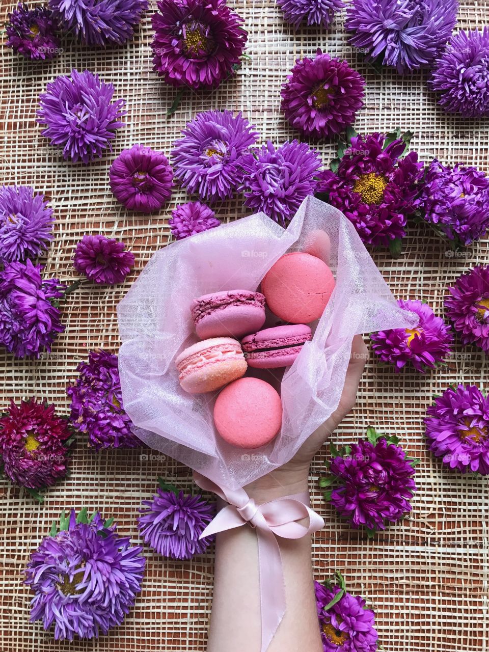 Flower, Floral, Flora, Purple, Violet