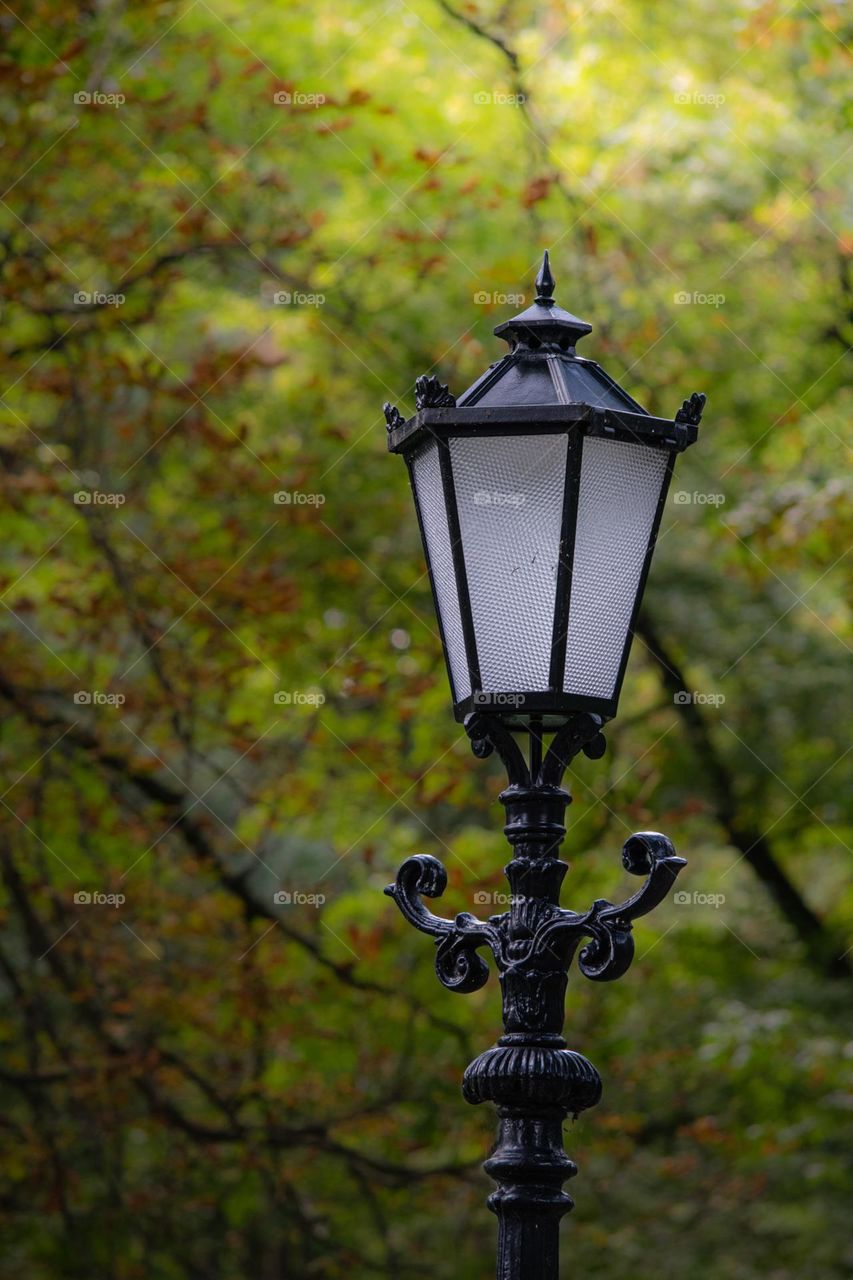 A lantern in the park 