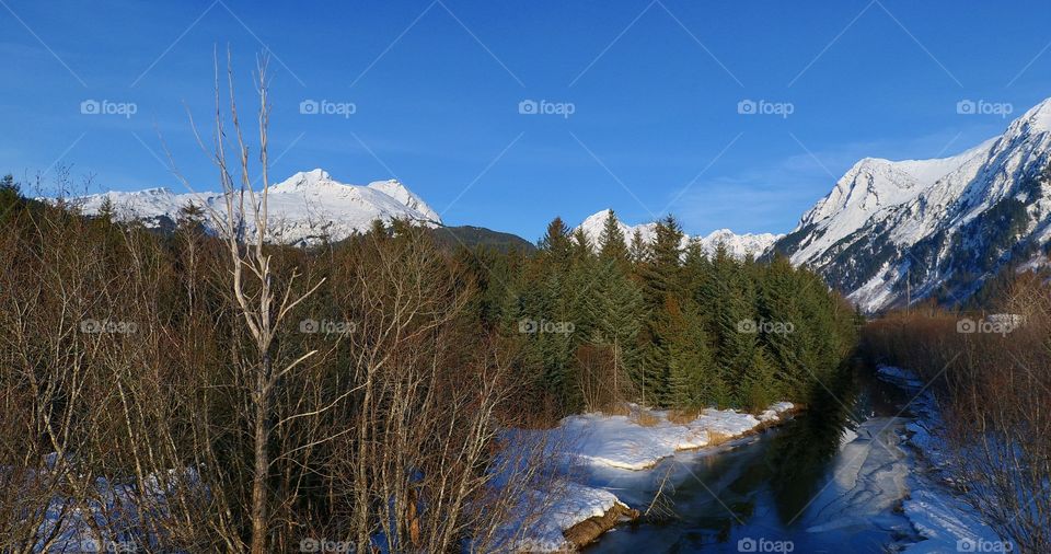 Frozen wilderness in Alaska 