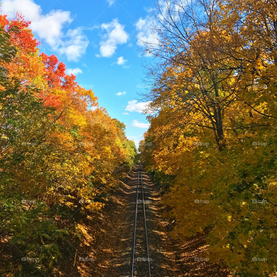 See the world through my eyes
