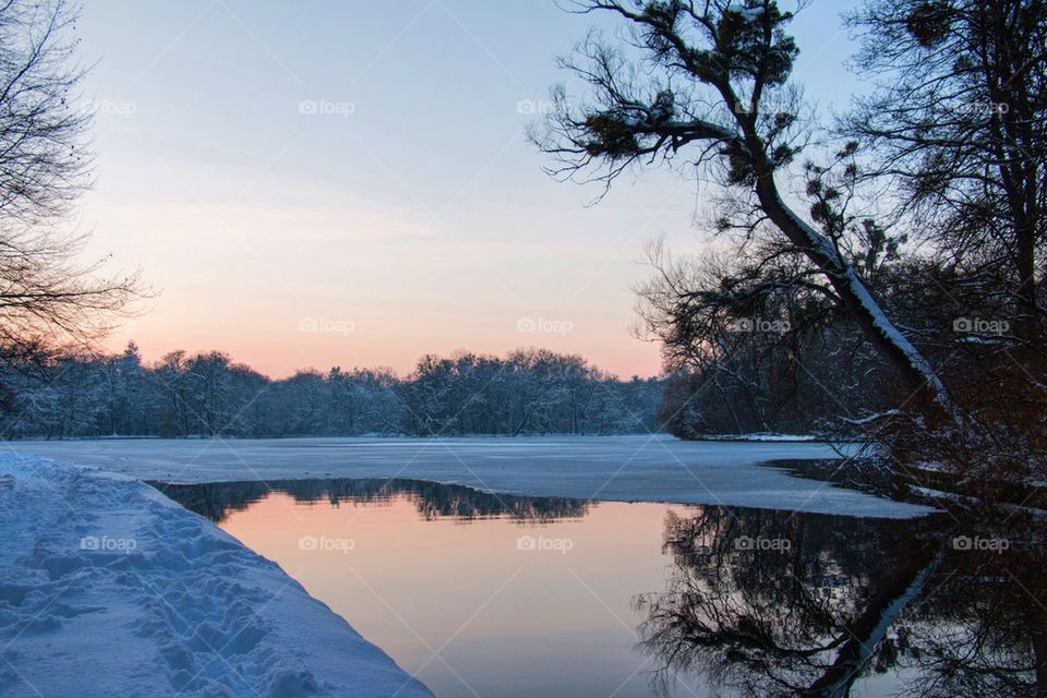 Snowy reflections 