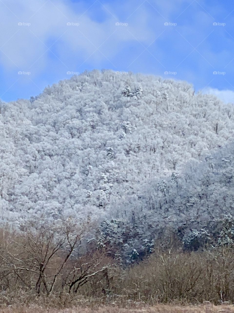 Snowy Appalachian Mountains