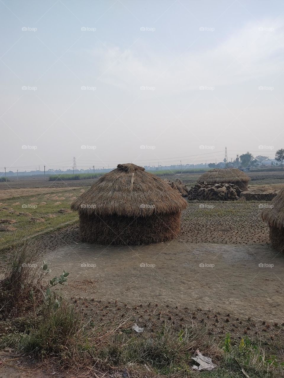 beautiful😍 🌾haystack photo 📸