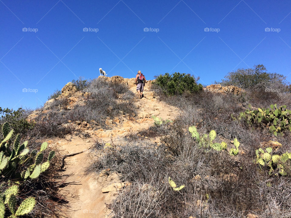 Person with dog walking along trails