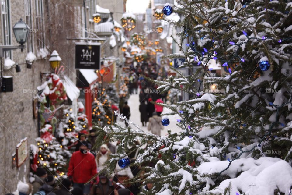 Canadian Christmas Tree
