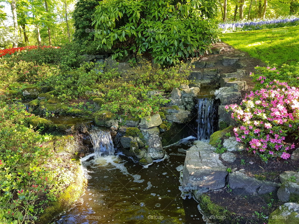 Gorgeous photo of the little river with waterfall in Keukenhof!