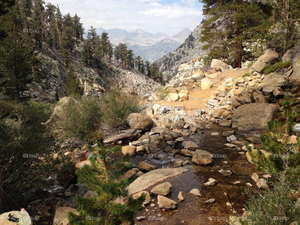 Kaweahs . Sequoia National Park