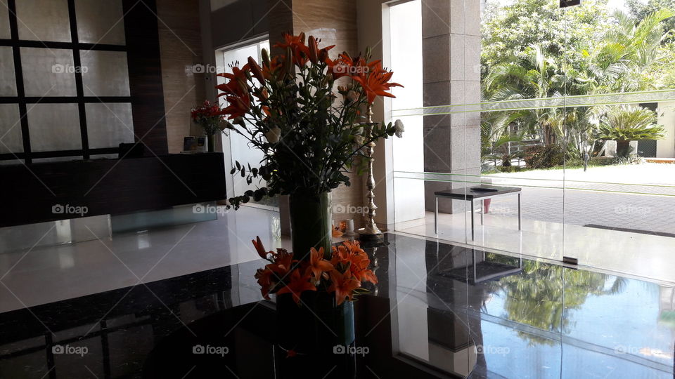 Indoors, Window, Interior Design, Furniture, Room