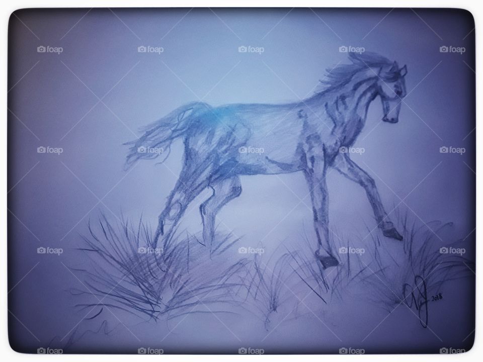 horse drawing