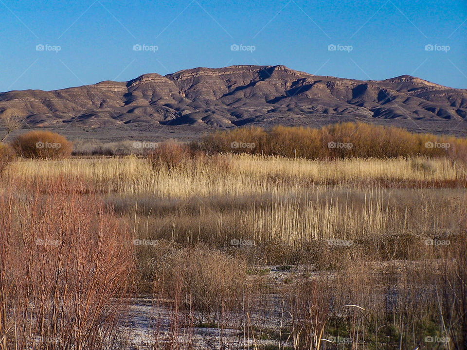 mountains in the Bosque del Apache National Wildlife Refuge in New Mexico