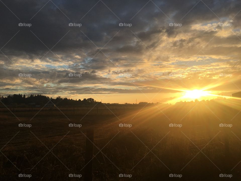 Sunrise over the farm 