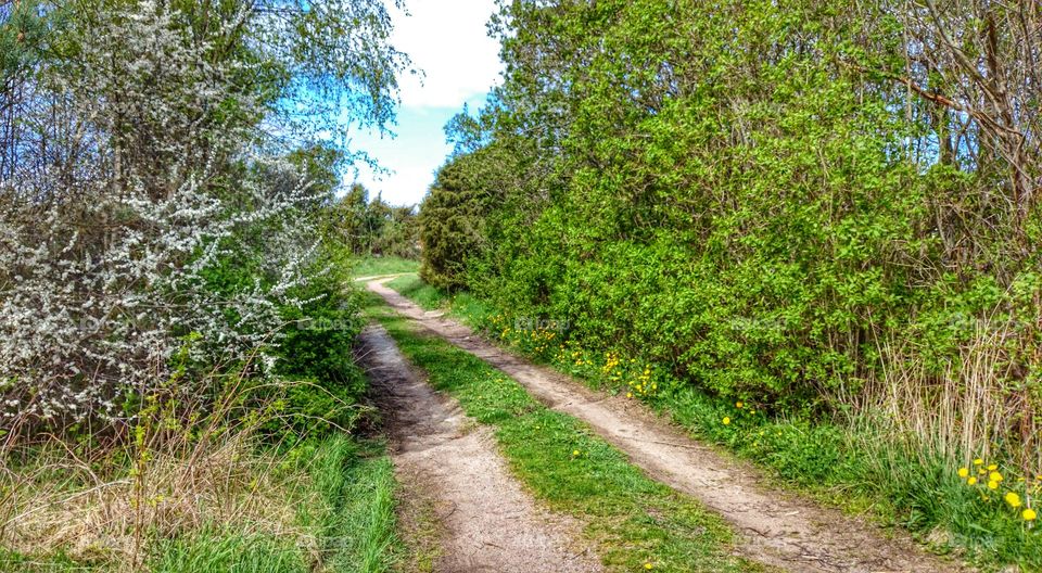 taking a walk in springtime . taking a walk in springtime 