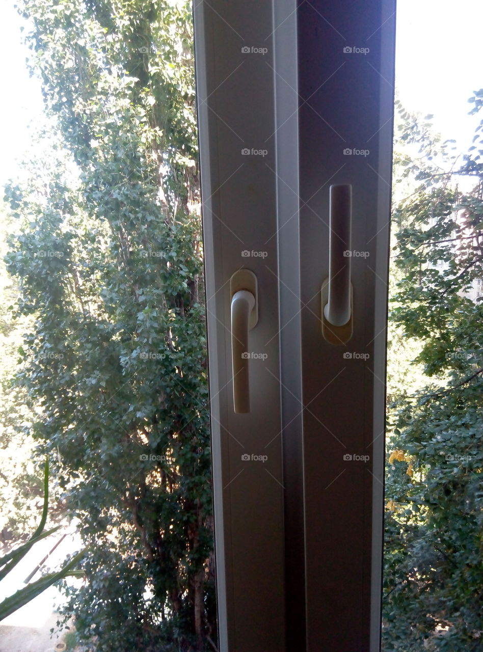 Окно вид лерево