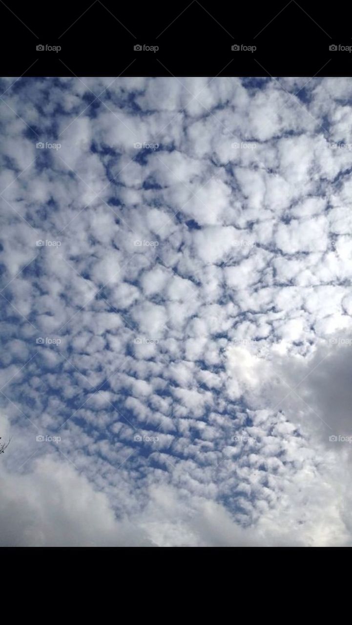 Cotton Clouds