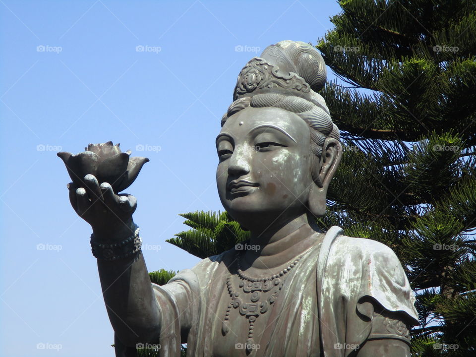 Meravigliosa Hong Kong