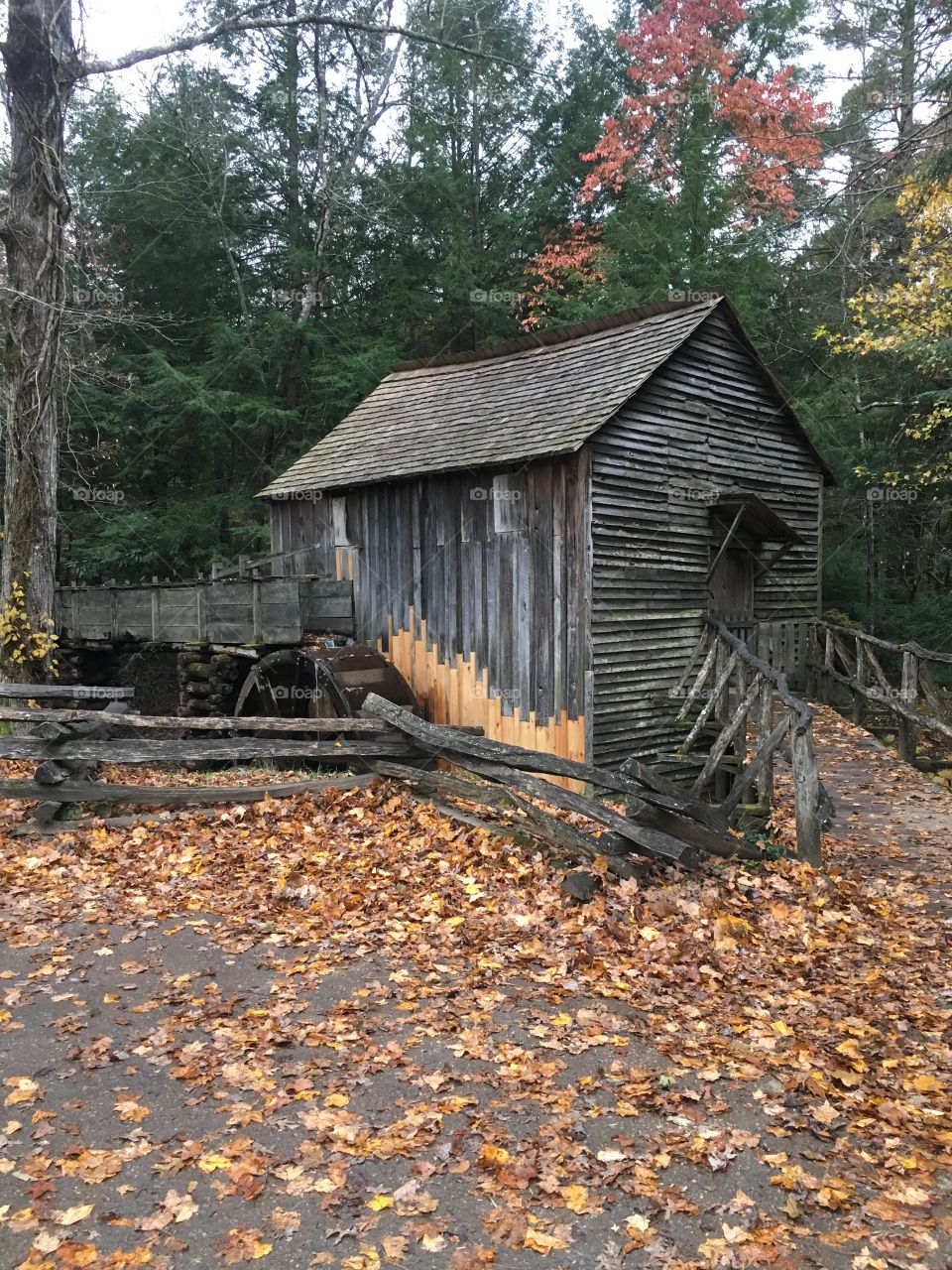 Old rustic grist lumber mill waterwheel fall leaves wooden building