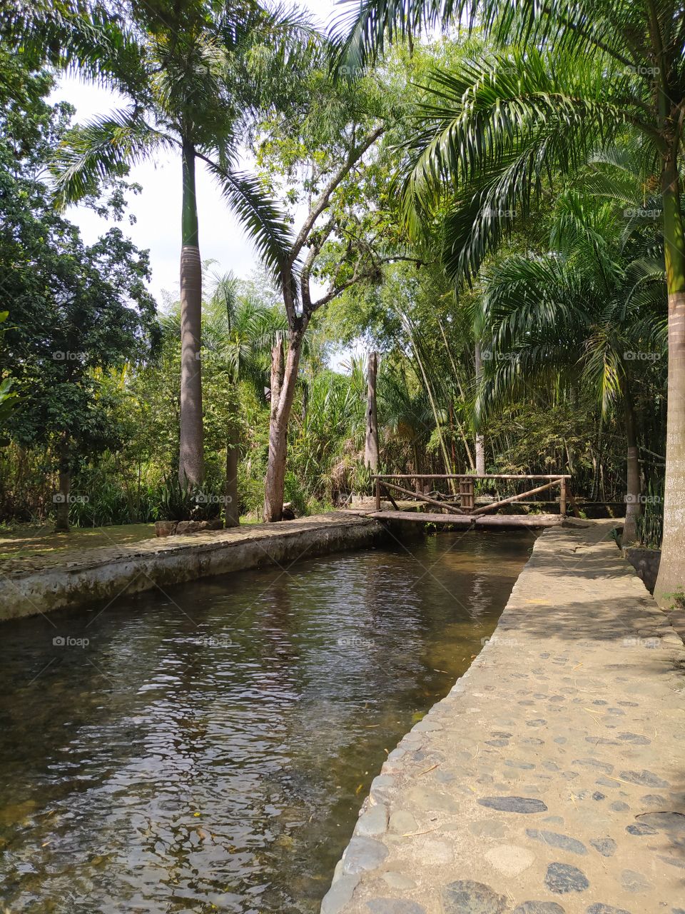 true nature, no filters