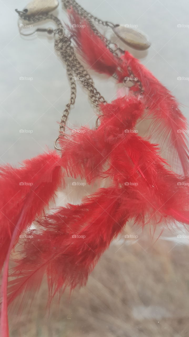 Red Feathers