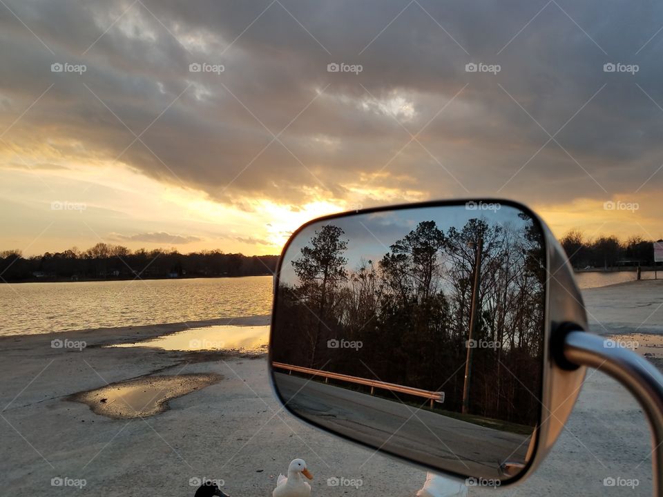 Trees reflected on side view mirror of car