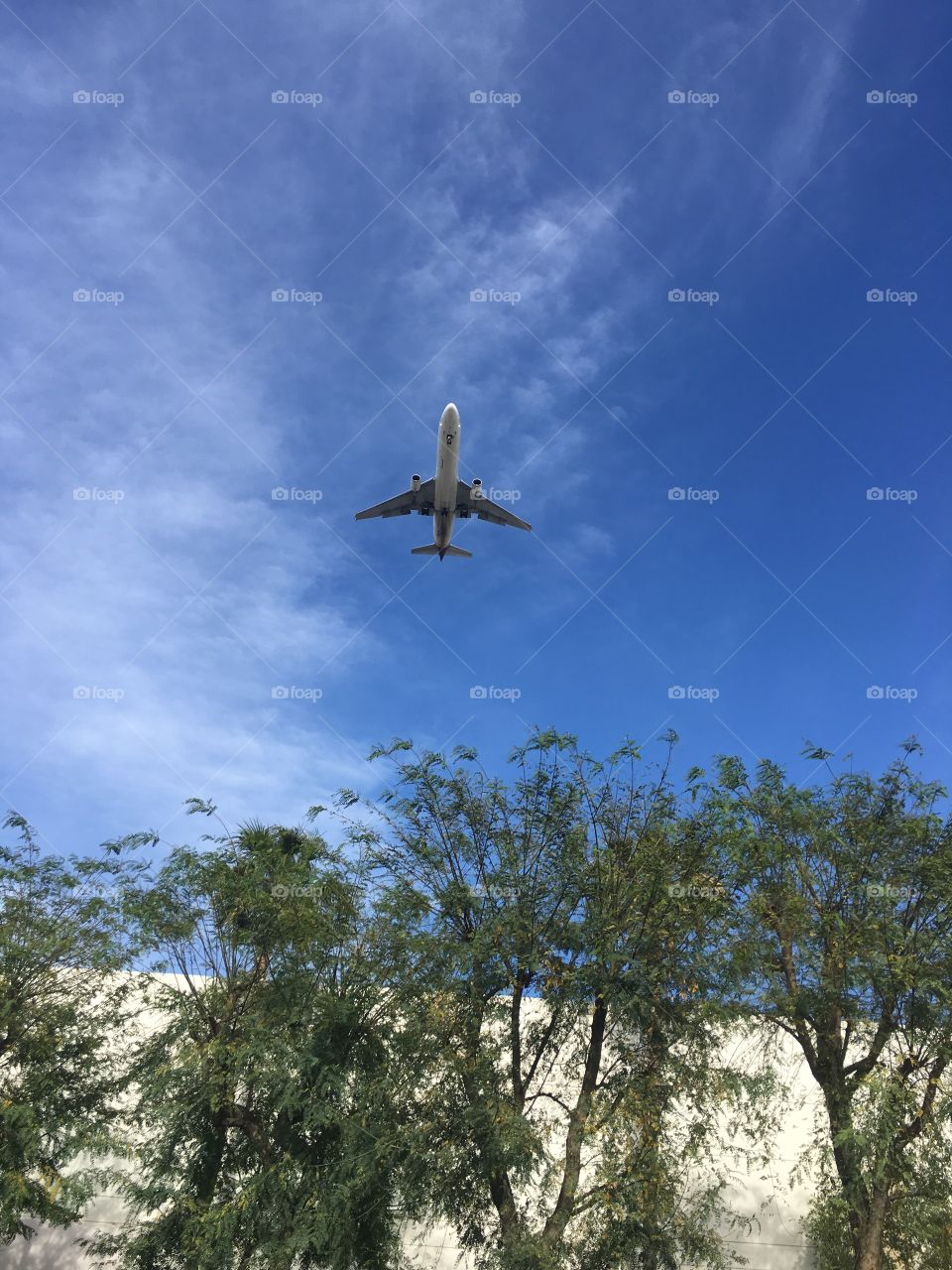 Accidentally caught this plane lol flew right into my shot and created a beautiful mistake 