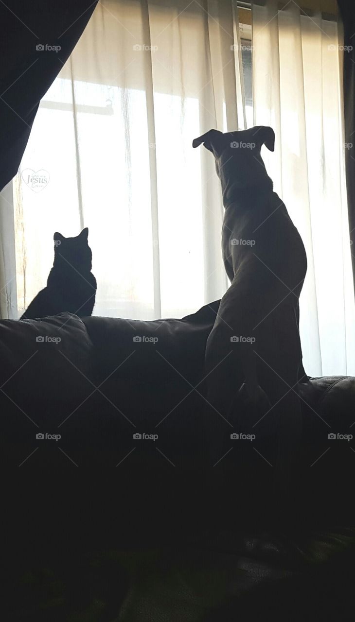 What time are they coming back?