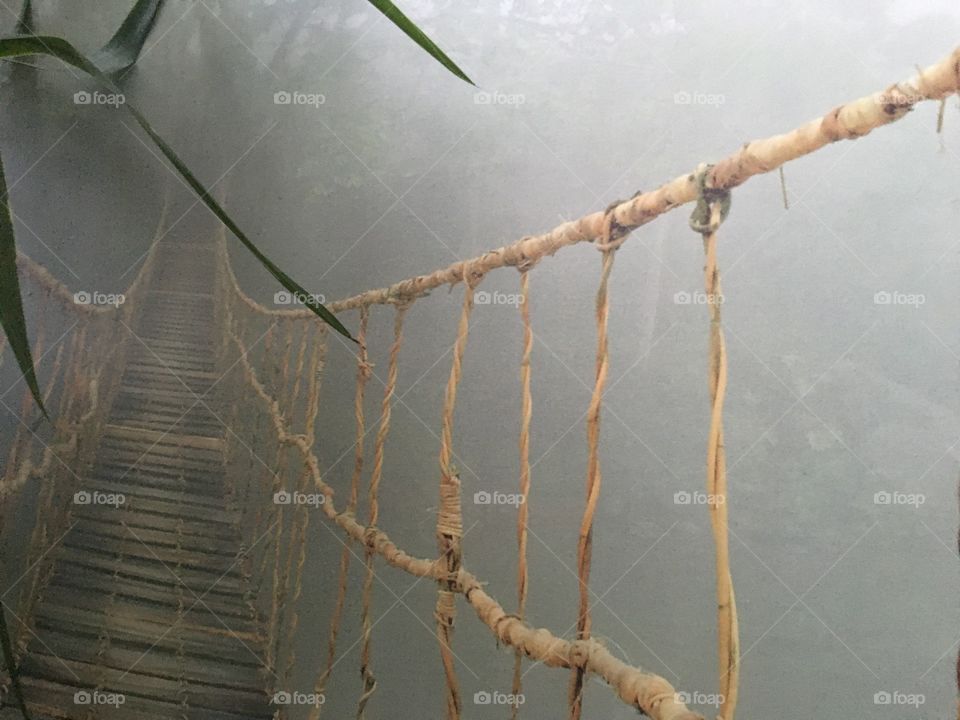 wooden bridge through the fog