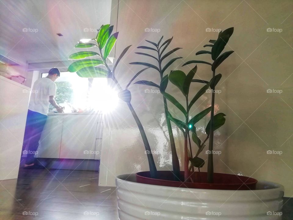 Morning sunshine through the kitchen window