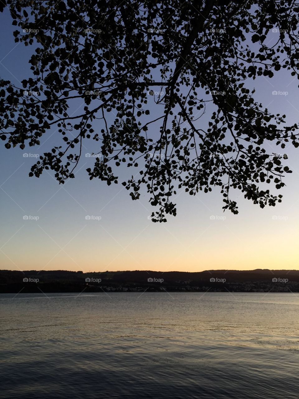 Golden Hour on the Lake. The Lake of Zurich is always worth to go for a walk. At golden hour in summer it's amazing.