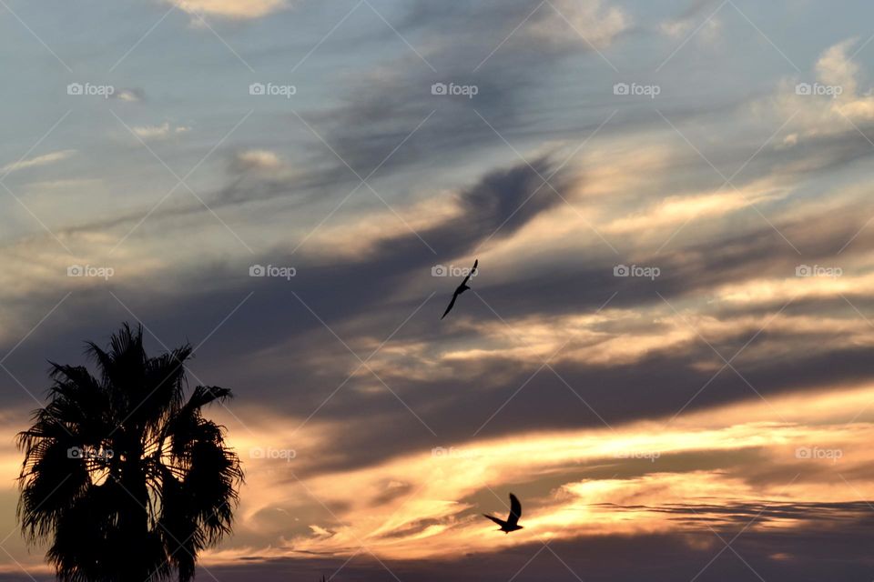 Clouds can change in an instant 