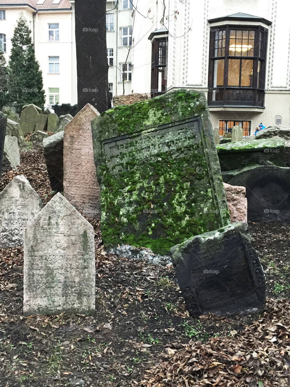 Jewish Cemetary
Prague, Czech Republic
