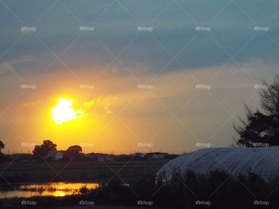 Greenhouse under the sunset