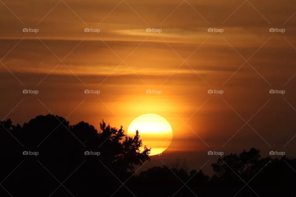 Texas Sunset 