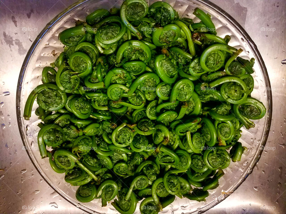 Bright green fiddlehead ferns in a round glass plate.