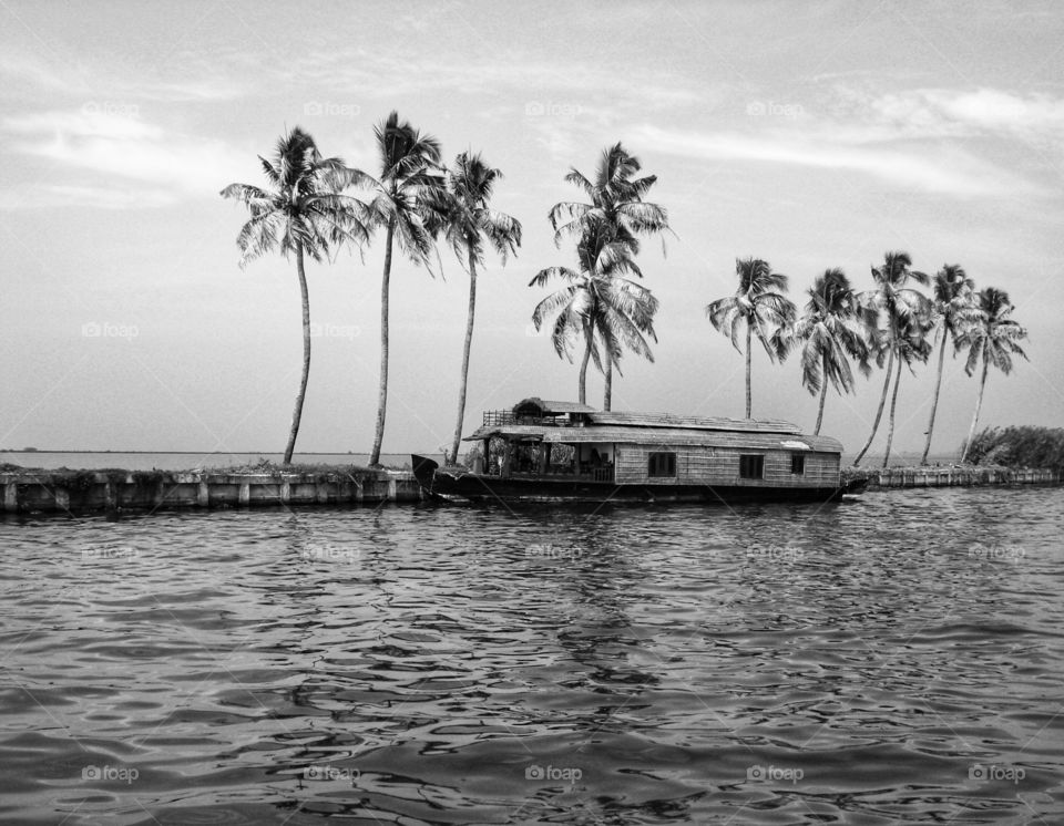 Palm trees and houseboat in the backwaters of Kerala in black and white 