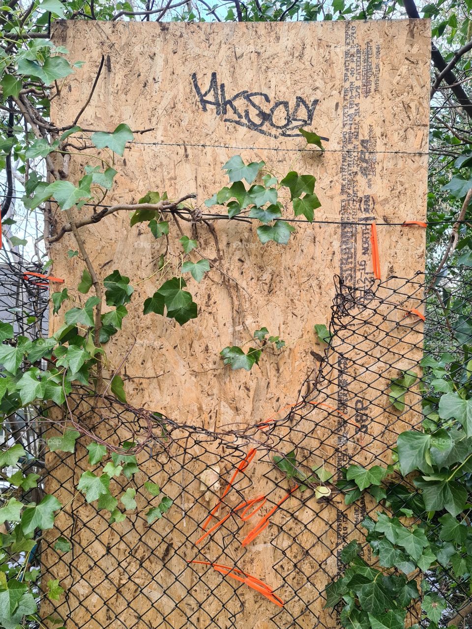 Combination of both.