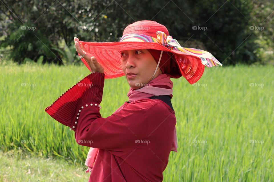 holiday in the ricefield