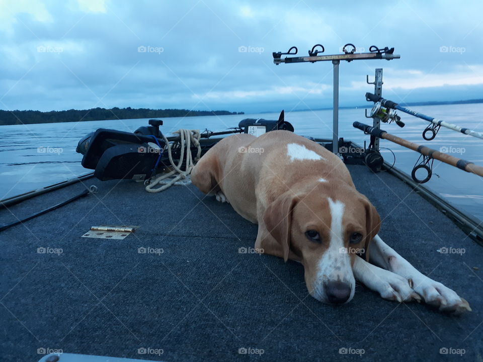 Laying around the boat making the best out of the fishing trip