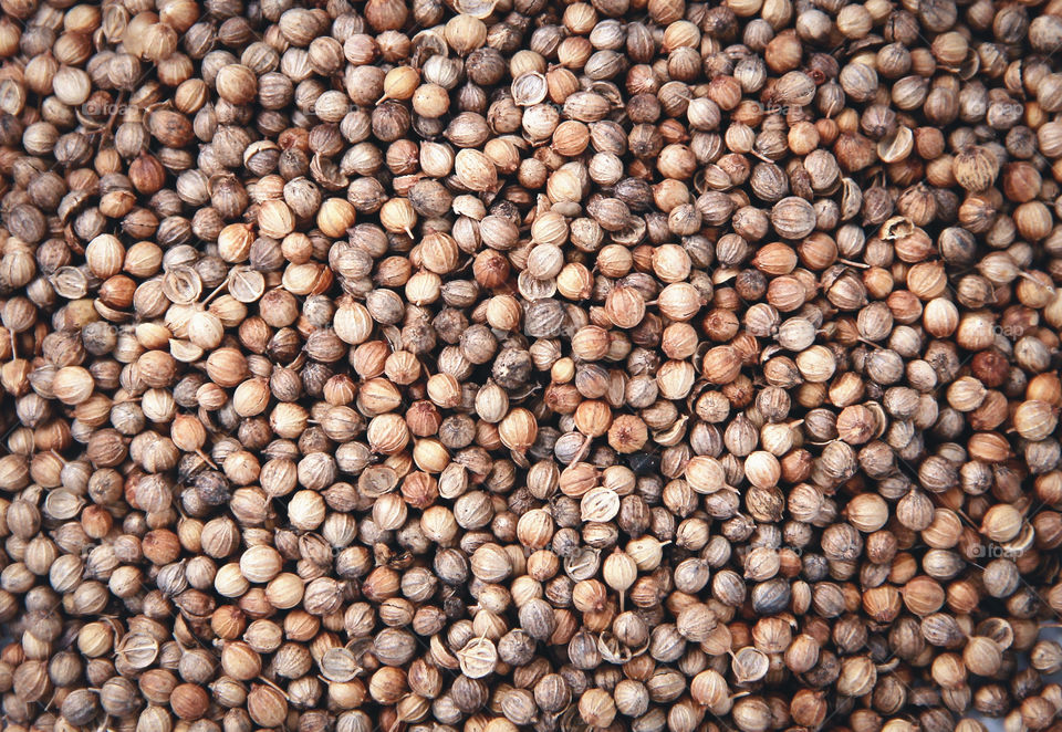 Coriander seeds