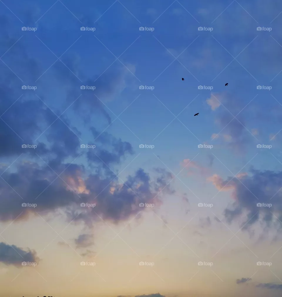 Sky