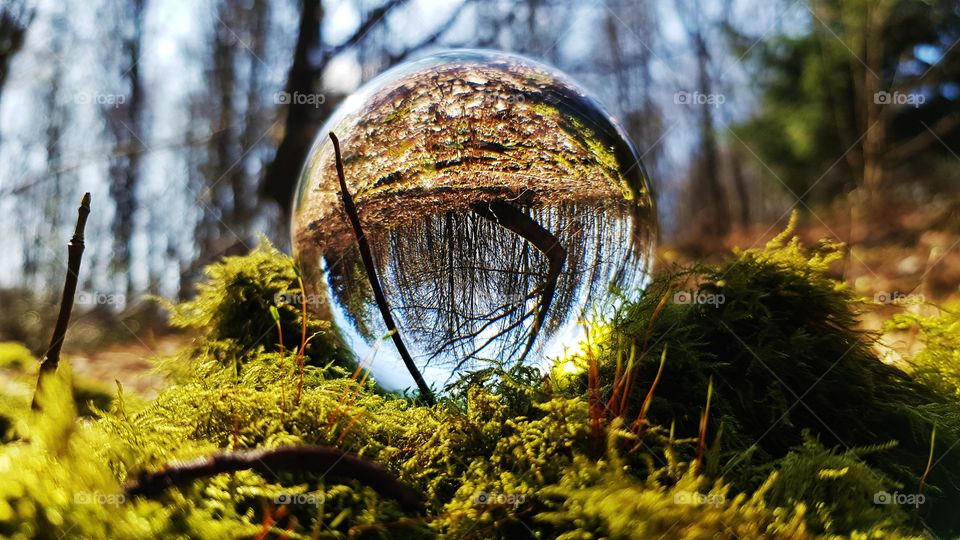 Waldkugel Aggertalklinik